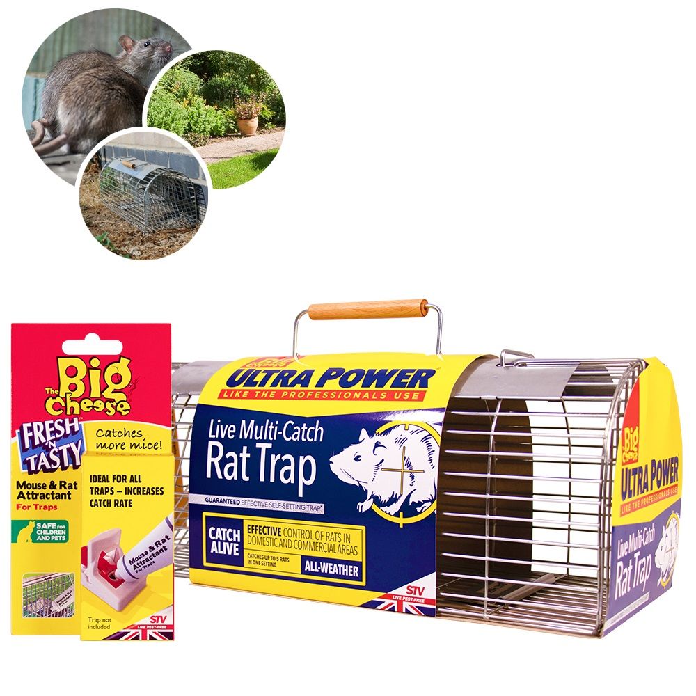 COM136 Catch Rats In Your Garden Alive