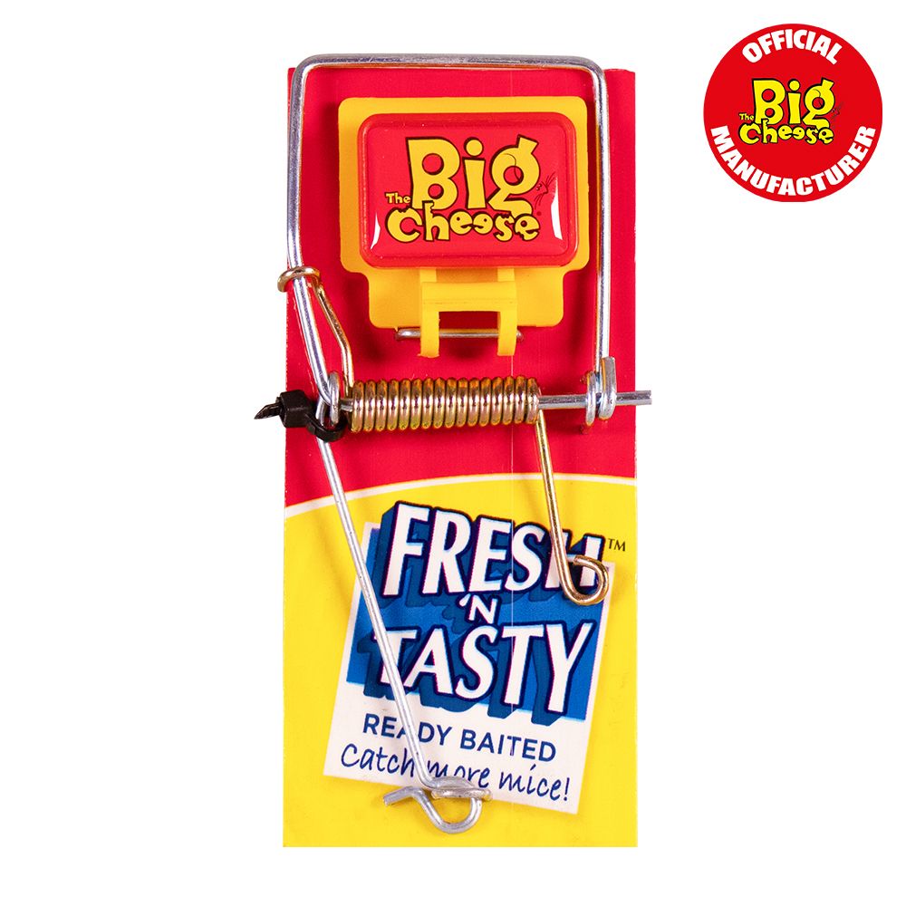 STV194 The Big Cheese Fresh Baited Mouse Trap - Reusable Effective Snap Trap