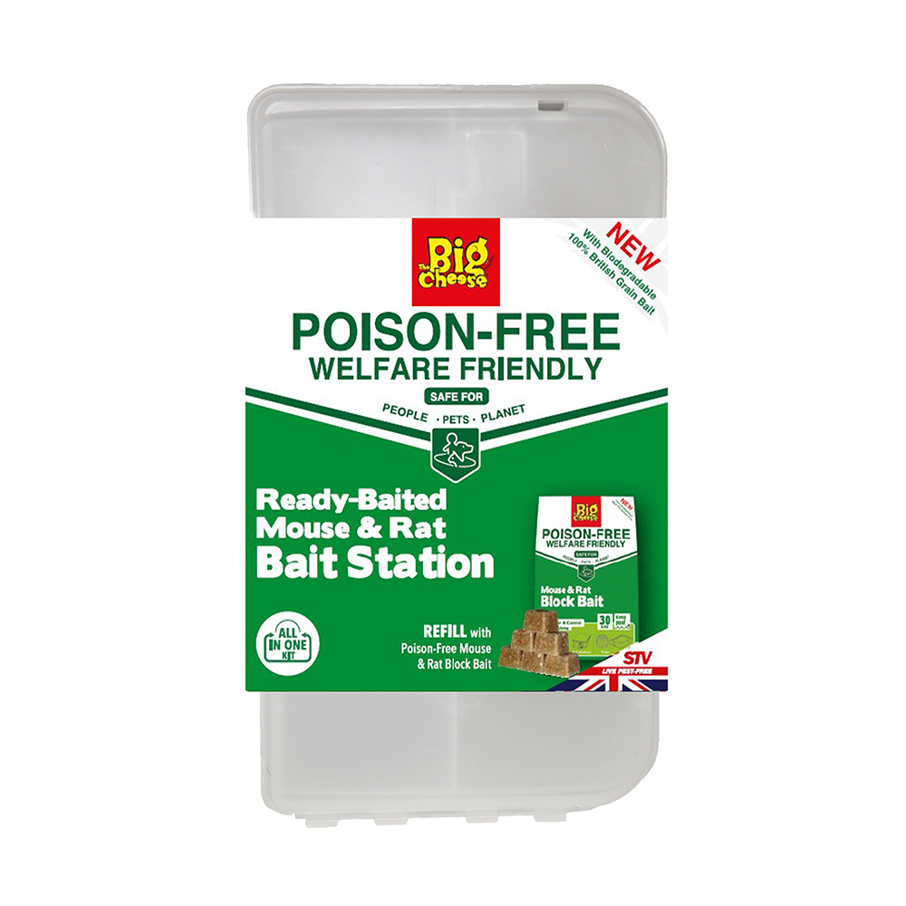 The Big Cheese Ready-Baited Mouse and Rat Bait Station, Poison-Free